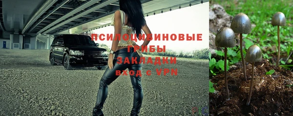 ПСИЛОЦИБИНОВЫЕ ГРИБЫ Костерёво