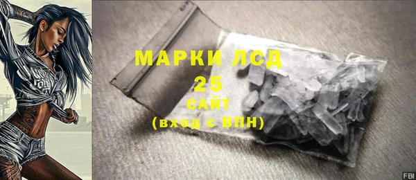 ПСИЛОЦИБИНОВЫЕ ГРИБЫ Костерёво