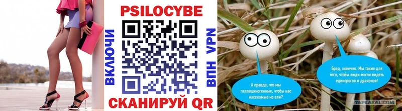 Псилоцибиновые грибы GOLDEN TEACHER Андреаполь